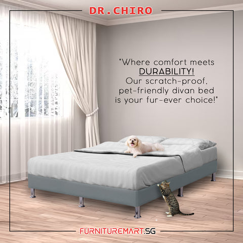 Image of Dr.Chiro Divan Bed Frame Pet Friendly Scratch-proof Fabric With Mattress Add-On Options