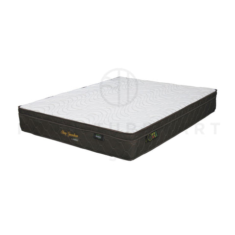Image of MyMatt Sleep Guardian 12" best mattress