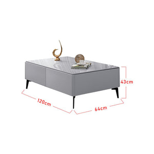 Furnituremart Sharie Series modern rectangular coffee table