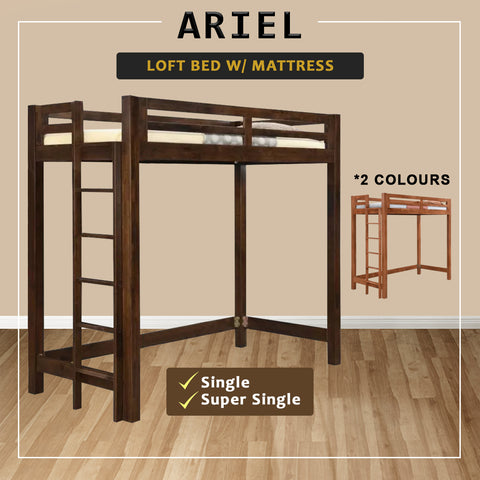 Image of Ariel Wooden Loft Bed Single, Super Single Solid Rubberwood Bed Frame w/ Mattress Option