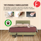 Connor Divan Bed Frame with Mattress - PetFriendly Option / All Sizes