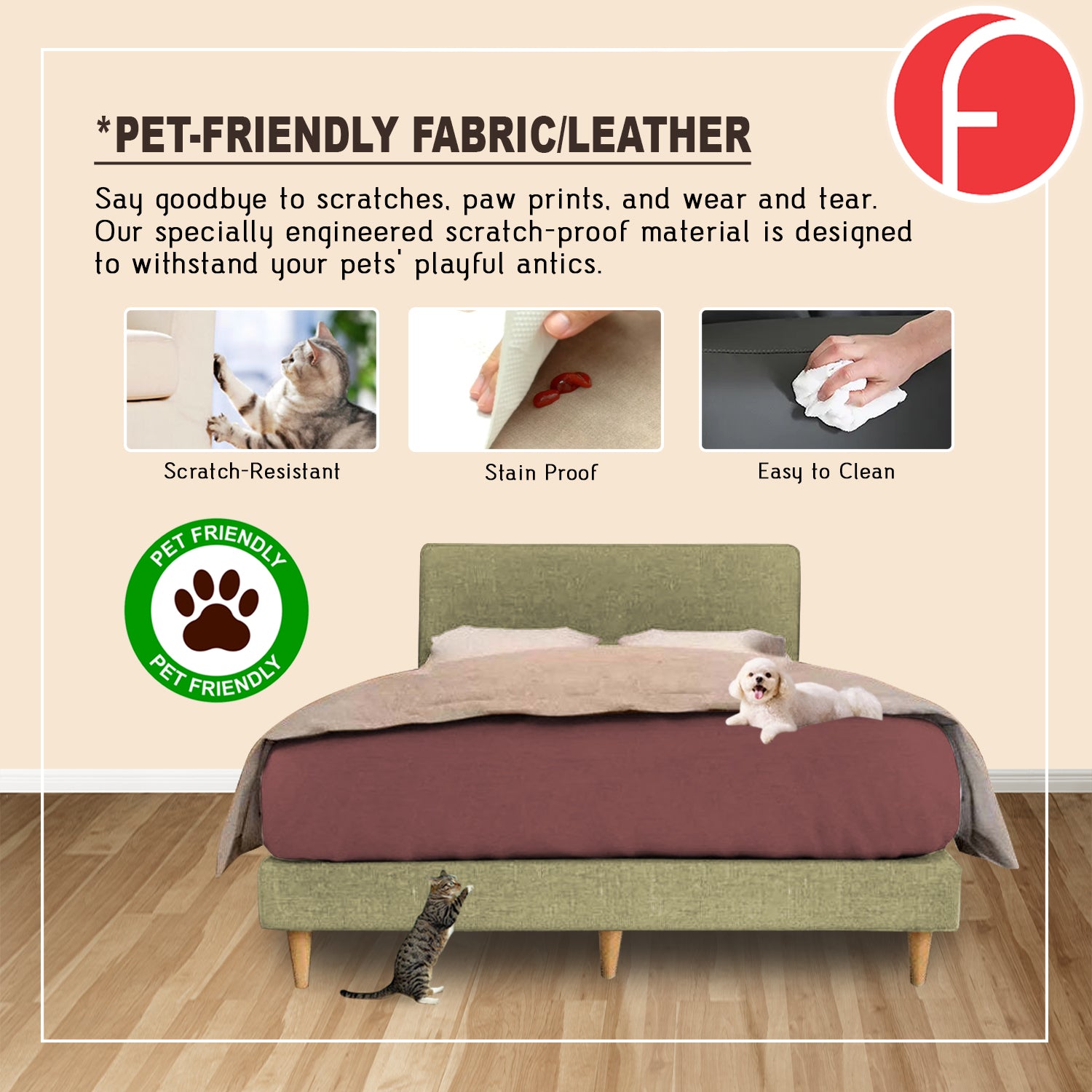 Connor Divan Bed Frame with Mattress - PetFriendly Option / All Sizes