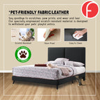 Newlin Divan Bed Frame w/ Mattress - PetFriendly Scratch Resistant Material -All Sizes