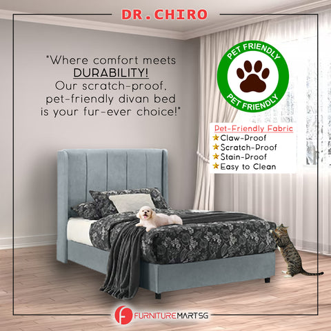 Image of Elsa DR Chiro Divan Bedframe Pet-Friendly Fabric With Mattress Add-On Options - All Sizes Available