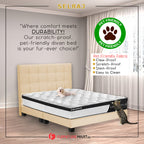 Selraj Bed Frame With 4 Inches Plastic Legs w/ PetFriendly Option/ All Sizes