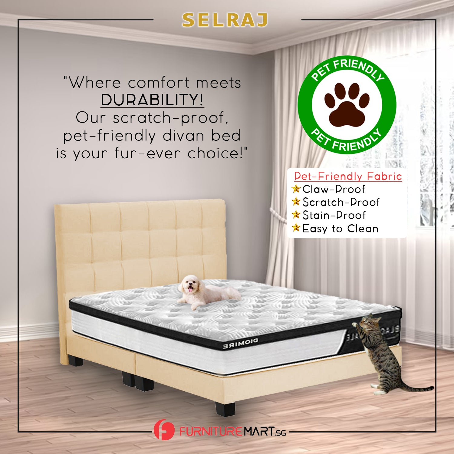 Selraj Bed Frame With 4 Inches Plastic Legs w/ PetFriendly Option/ All Sizes