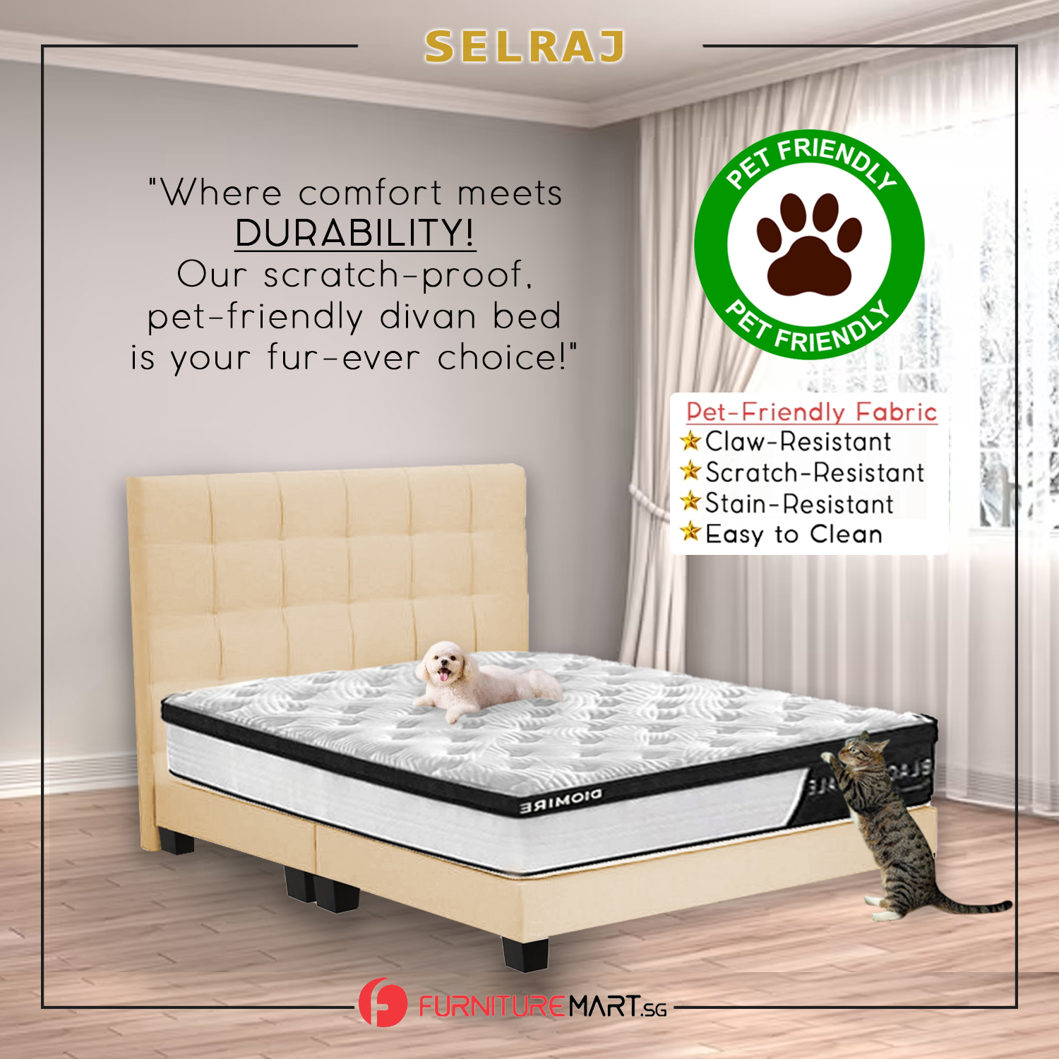 Selraj Bed Frame With 4 Inches Plastic Legs w/ PetFriendly Option/ All Sizes