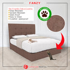Fanzy Drawer Bedframe Storage Bed All Sizes - Pet-Friendly Option / Mattress Option