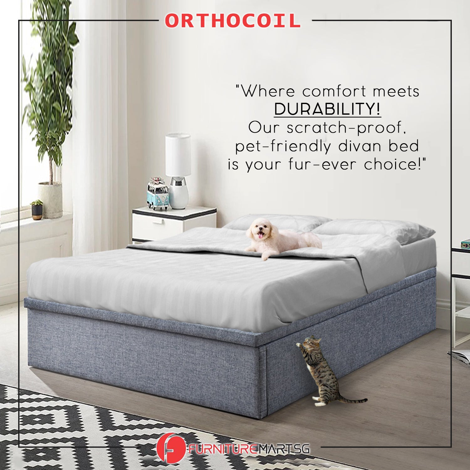 OrthoCoil 12"/14"/16" Depth Storage Bed Base Pet Friendly Scratch-Resistant Fabric - With Mattress Add-On
