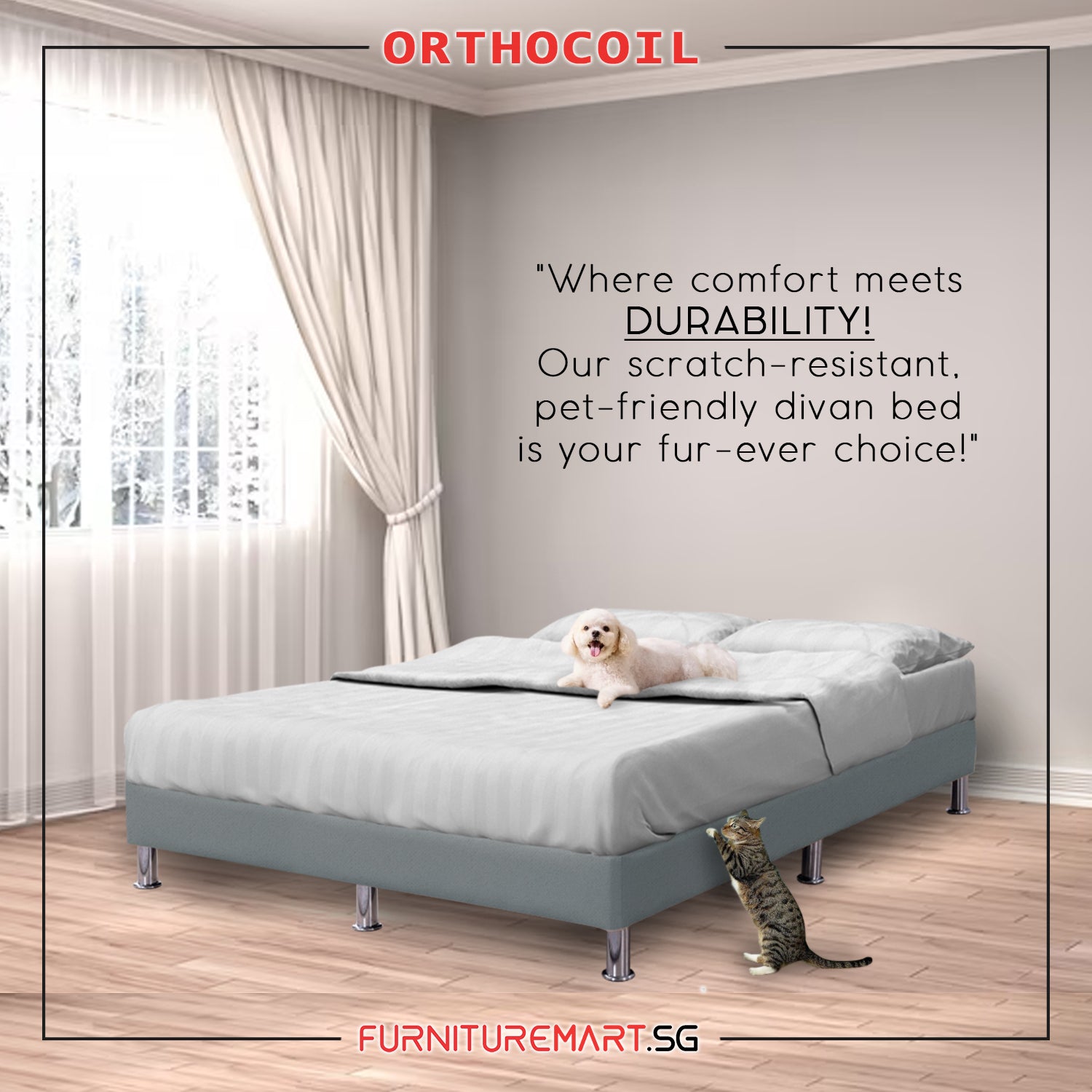 OrthoCoil Divan Bed Frame Pet Friendly Scratch-Resistant Fabric With Mattress Add-On Options
