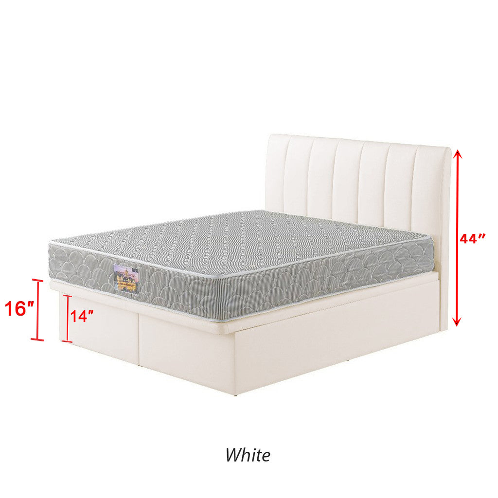 Snails Leather Storage Divan In Single, Super Single, Queen, and King Size