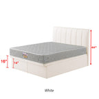 Snails Leather Storage Divan In Single, Super Single, Queen, and King Size