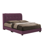 Novah Divan Bed Frame with Foam Padded Headboard PetFriendly - w/ Mattress All Sizes