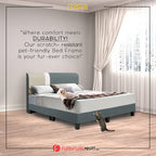 OrthoCoil Divan Bedframe Pet-Friendly Scratch-Resistant Fabric With Mattress Add-On Options - All Sizes Available