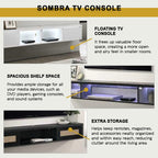 Sombra Model A Floating TV Console Wall Mounted in Black Color