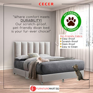 Cecer Dr.Chiro Divan Bed Frame Pet Friendly Scratch-proof Fabric - With Mattress Add On