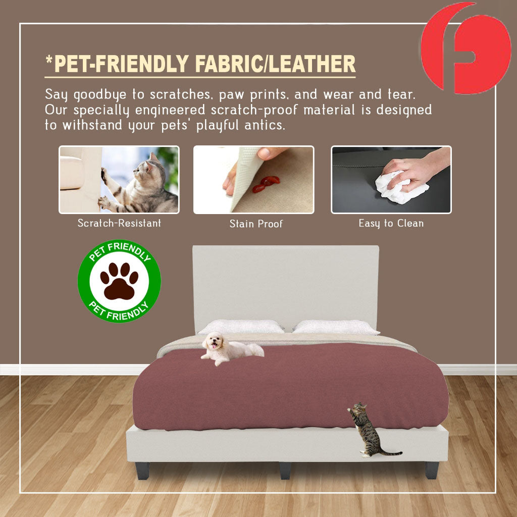 Daxton Divan Bed Frame with Foam Padded Headboard - PetFriendly / With Mattress