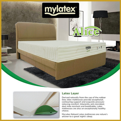 Image of MyLatex ALICE 10" Mattress Natural Latex Top, Foam Base and Wood Fabric Cover - All Size