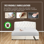 OrthoCoil Taven Drawer Divan Bed Frame - PetFriendly Scratch Resistant / Mattress Option