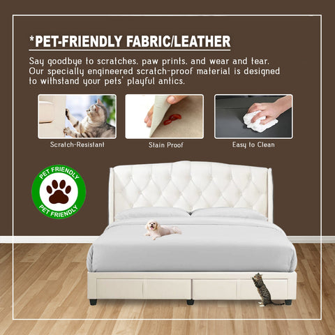 Image of DR Chiro Taven Drawer Divan Bed Frame - PetFriendly Scratchproof / Mattress Option