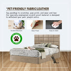 Pacey Divan Bed Frame with Mattress - PetFriendly Scratch Resistant Option / All Sizes