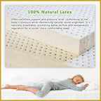Therapedic Spinal Feel 14" Mattress Pocketed Spring w/ Natural Latex- All Sizes