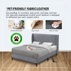 Ansel Divan Bed Frame with Mattress - PetFriendly Scratch Resistant Option / All Sizes