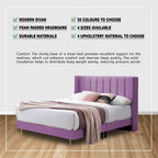 Jonah Divan Bed Frame with Mattress - PetFriendly Scratch Resistant Option / All Sizes