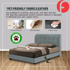 Novah Divan Bed Frame with Foam Padded Headboard PetFriendly - w/ Mattress All Sizes