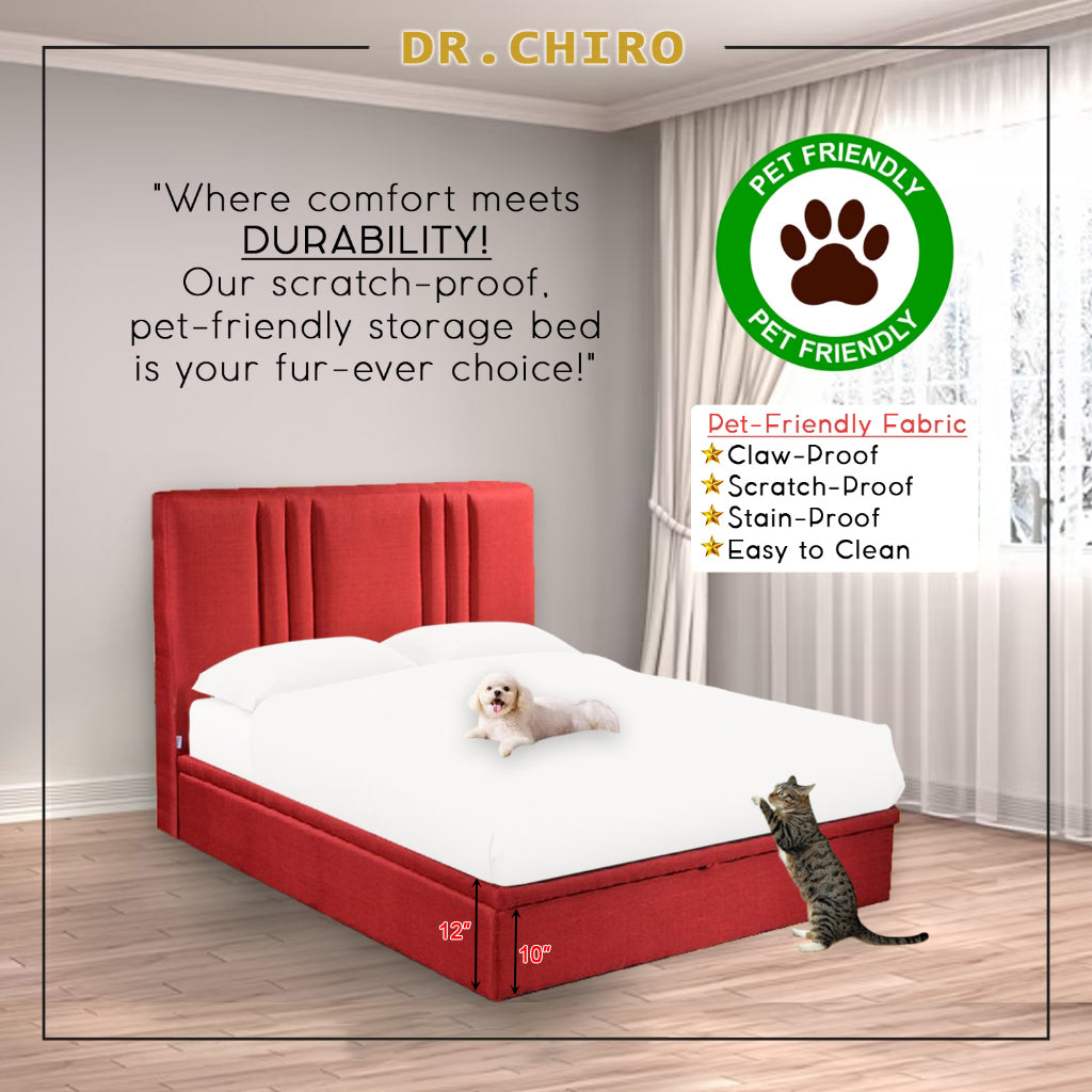 OrthoCoil Strike Storage Bed Pet Friendly Scratch-Resistant Fabric - With Mattress Add-On