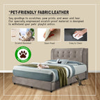 Gwinn Divan Bed Frame with Mattress - PetFriendly Scratch Resistant Option / All Sizes