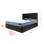 Keira SBD 12" / 16" Leather Storage Bed Frame In Brown with Mattress Package In Single, Super Single, Queen, and King Size