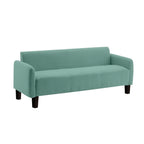 Heman 2-Seater/3-Seater Modern Sofa - w/ PetFriendly Scratch-resistant Option