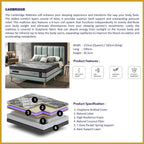 Honey Cambridge 12" Graphene Series 7-Zone Pocket Spring Anti-Static Mattress - All Sizes