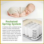 Therapedic Spinal Feel 14" Mattress Pocketed Spring w/ Natural Latex- All Sizes