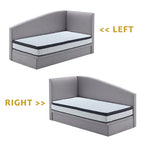 Douuan Storage Bed Frame SBD 12"/16" with ScratchResistant PetFriendly Options - w/ Mattress Options