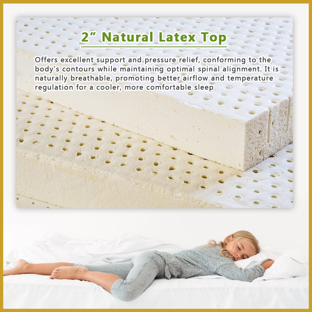 MyLatex ALICE 10" Mattress Natural Latex Top, Foam Base and Wood Fabric Cover - All Size