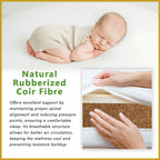 MyLatex COSTA 10" Natural Latex Rubberized Coconut Fibre Mattress - All Sizes Available