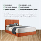 Diomire Sarah Divan Bed Frame w/ Mattress - PetFriendly Scratch Resistant Material -All Sizes
