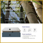 Honey Natural Bamboo 10" Natural Coconut Fibre Bamboo Fabric Mattress - All Sizes
