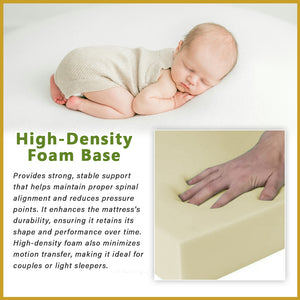 MyLatex ALICE 10" Mattress Natural Latex Top, Foam Base and Wood Fabric Cover - All Size