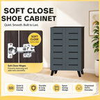 LUNA CARB-P2 Certified 2 Doors Shoe Cabinet with Air Ventilation Shoe Rack in 2 Colours