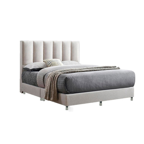 Image of Cecer Dr.Chiro Divan Bed Frame Pet Friendly Scratch-proof Fabric - With Mattress Add On