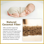 Honey Natural Bamboo 10" Natural Coconut Fibre Bamboo Fabric Mattress - All Sizes