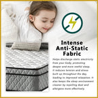 Honey Spinal Plus 10" Anti-Static Posture Support Spring Mattress - All Sizes Available