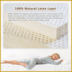 Honey 11"/15" Energise Series Anti-Static 7-Zone Pocket Spring Mattress - All Sizes
