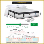 King Koil Hospitality Suites 13.3" Mattress Extended Life Collection -w/ Pillow- All Size