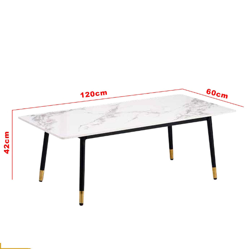 Keana Series 1 Premium Coffee Center Table Steel Metal Leg + Marble Ceramic Top