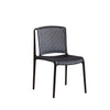 Exton Polypropylene (PP) Dining Chair in Black Colour