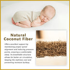 Honey Coconut Fibre Mattress Topper 1" Cooling Silk Fabric - All Sizes Available
